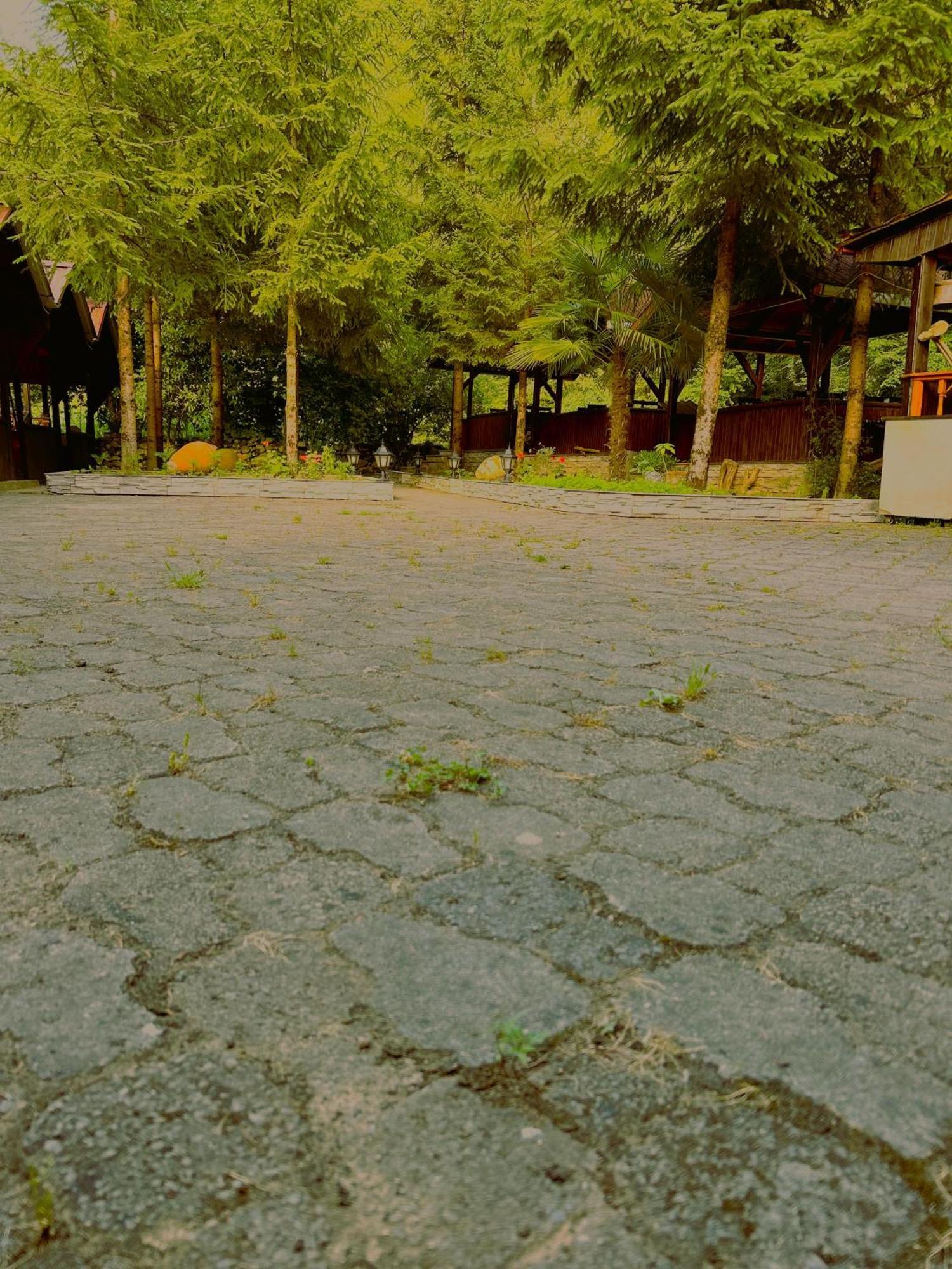 Isikli Kale Hotel Caykara エクステリア 写真