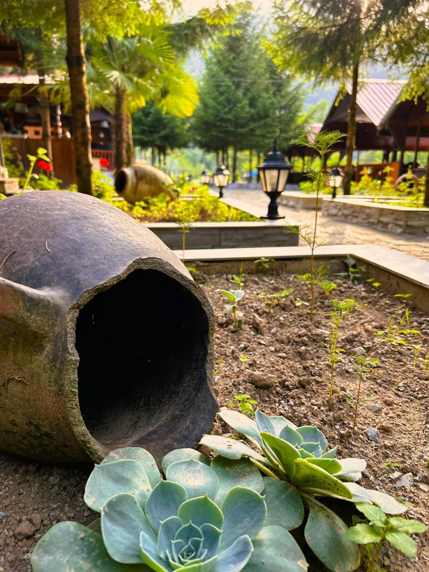 Isikli Kale Hotel Caykara エクステリア 写真