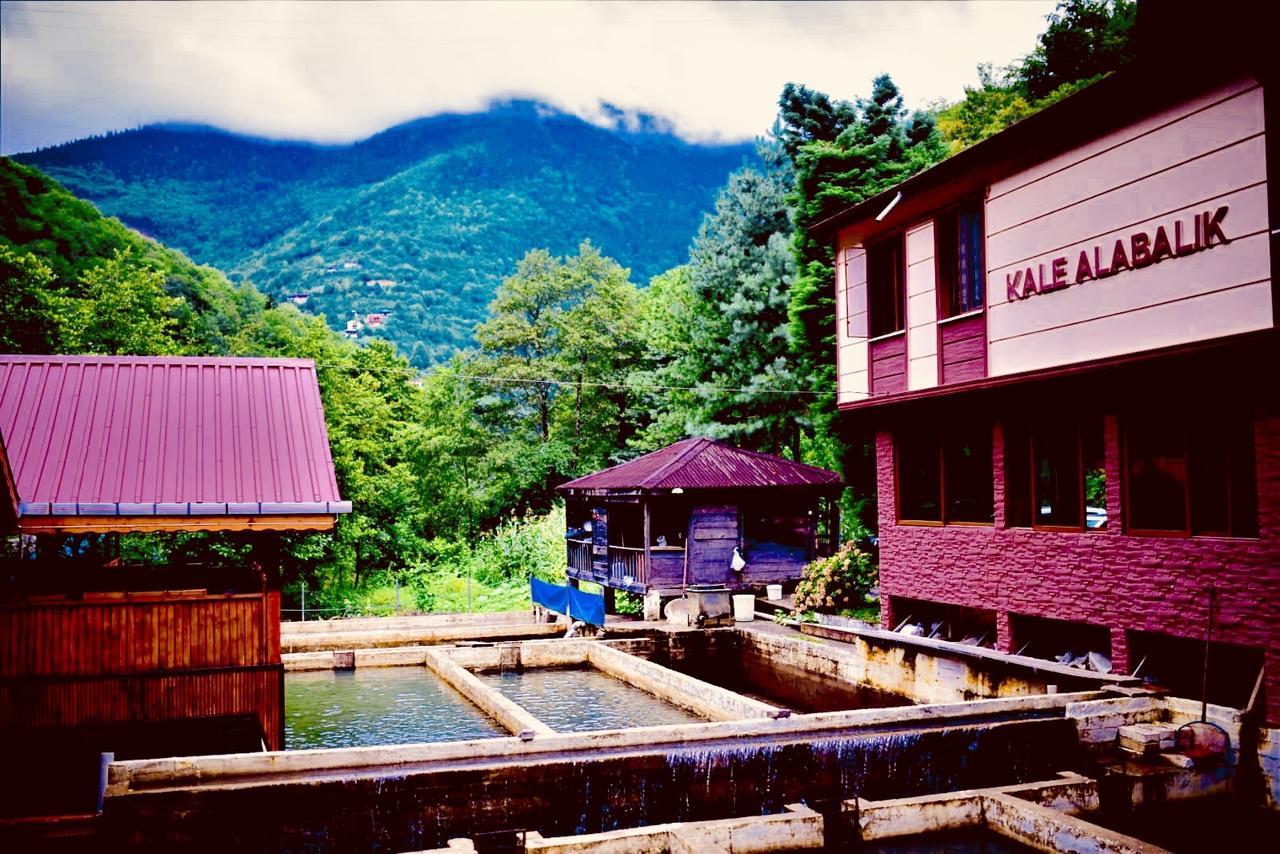 Isikli Kale Hotel Caykara エクステリア 写真